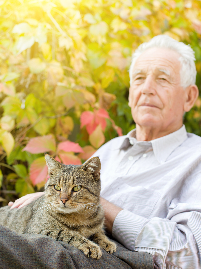 Senior Paws Program Golden Paws Program | Senior Cats for Seniors