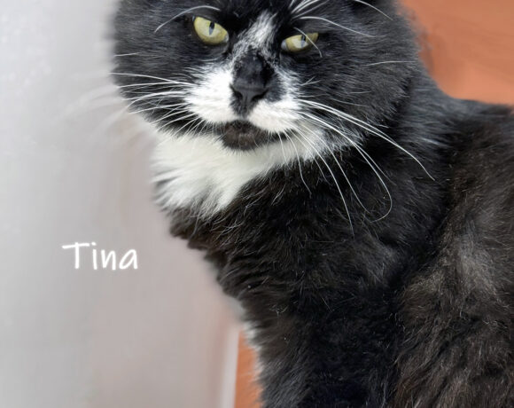 Tina