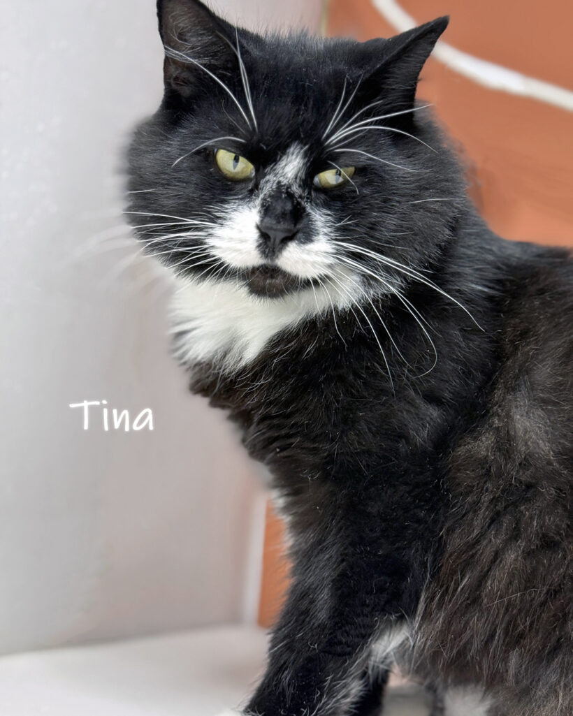 Tina