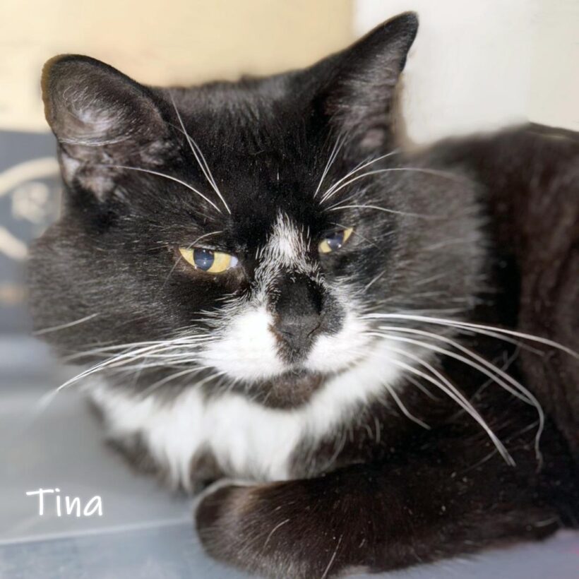 Tina