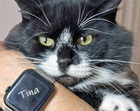 Tina