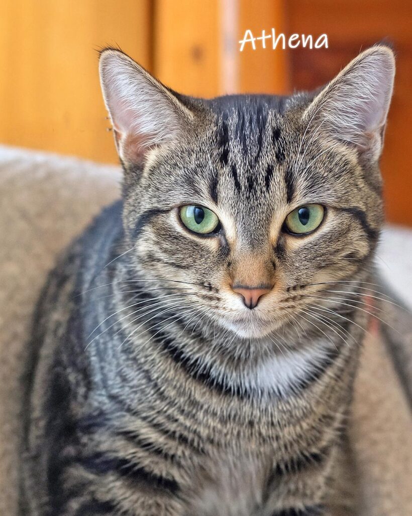 Athena