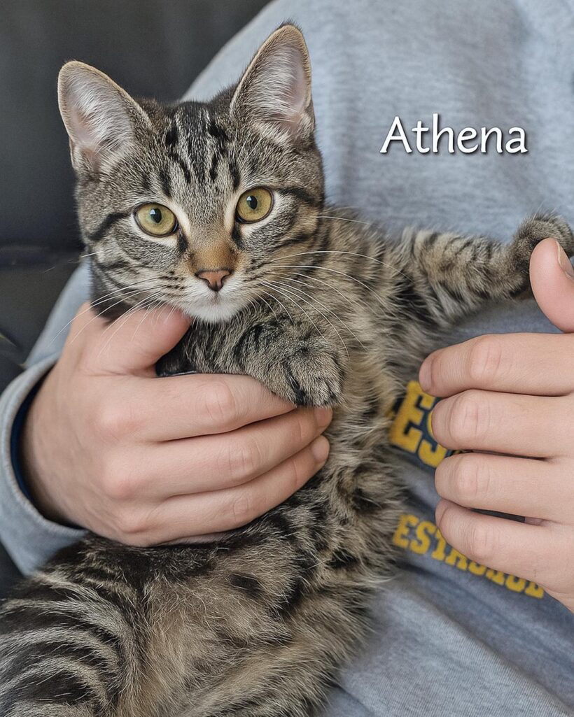 Athena