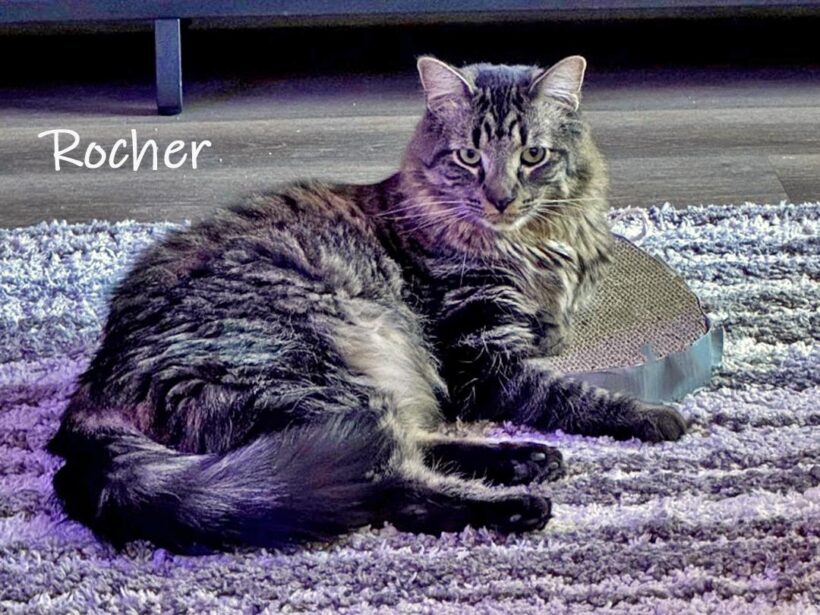 Rocher