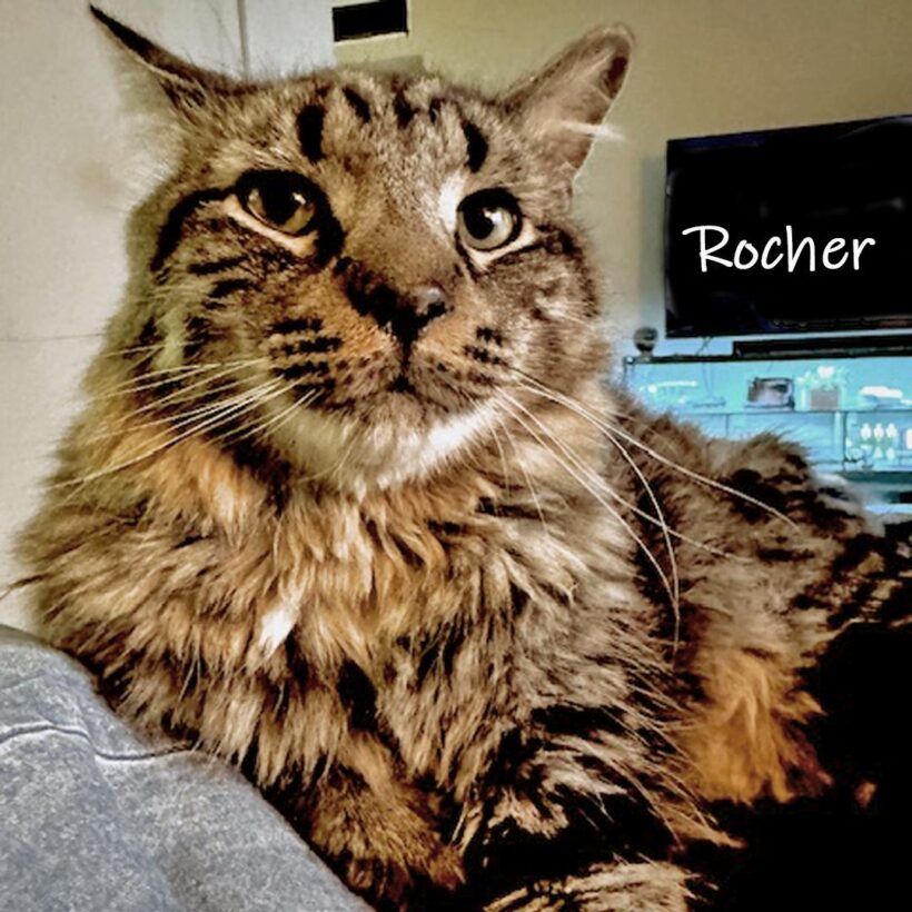 Rocher
