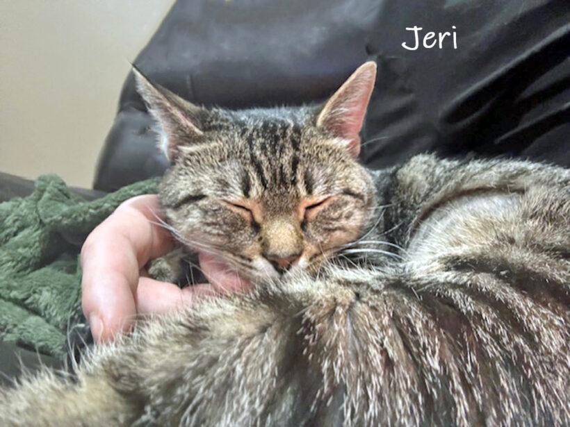 Jeri